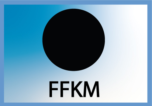 JTOR 34.52x3.53 FFKM N9LT(220)