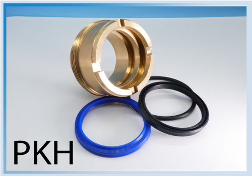 Kit Adapt. PARKER RK2AHL0065